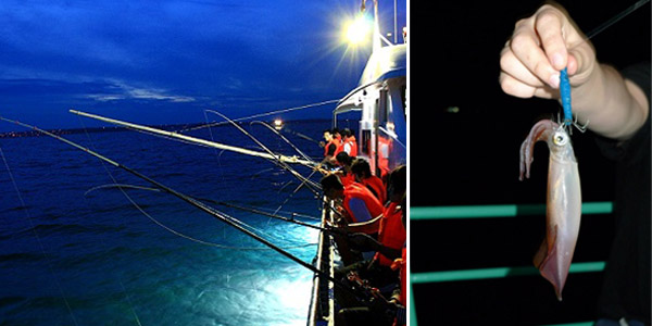 Night squid fishing in Phu Quoc island